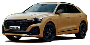 Диски AUDI Q8 Restyle 3.0