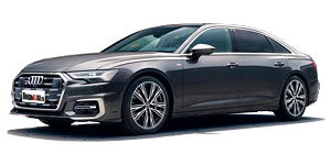 Летние и зимние шины AUDI A6 (C8) Restyle 2.0