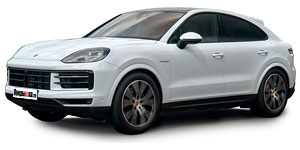 Шины PORSCHE Cayenne 9Y Restyle