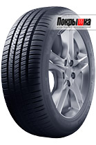 Michelin Pilot Sport A/S 3 315/35 R20 110V XL для BMW X5 (E70) Restyle xDrive 3.0d