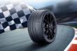 Michelin Pilot Sport Cup 2 315/30 R21 105Y
