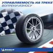 Michelin Pilot Sport Cup 2 265/40 R19 102Y